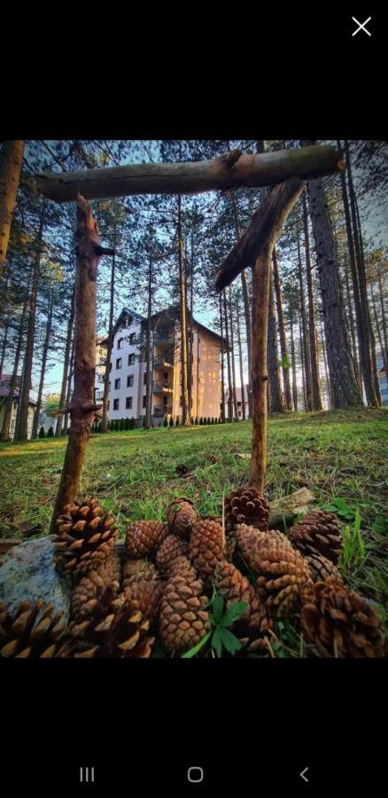 Apartman Pavle Zlatibor Bagian luar foto