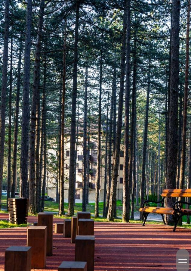 Apartman Pavle Zlatibor Bagian luar foto