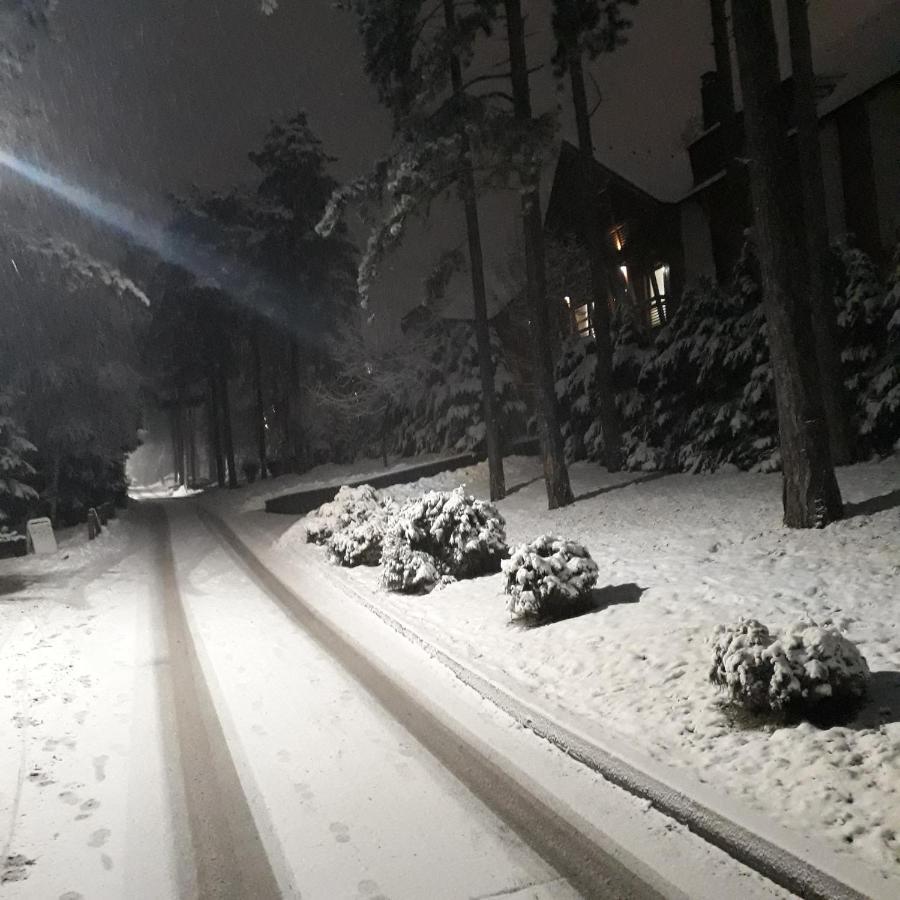Apartman Pavle Zlatibor Bagian luar foto