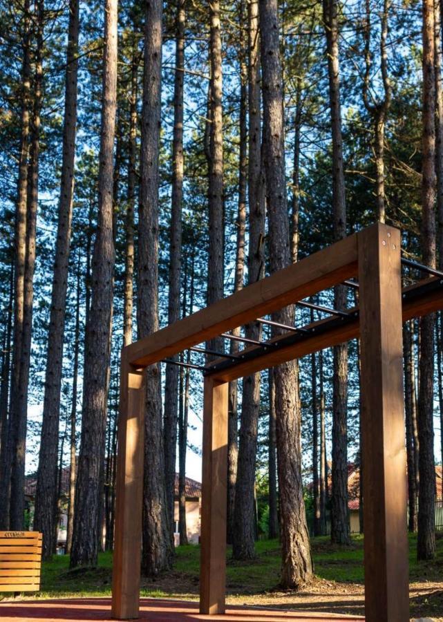 Apartman Pavle Zlatibor Bagian luar foto