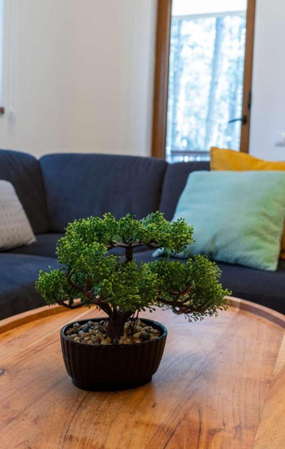Apartman Pavle Zlatibor Bagian luar foto