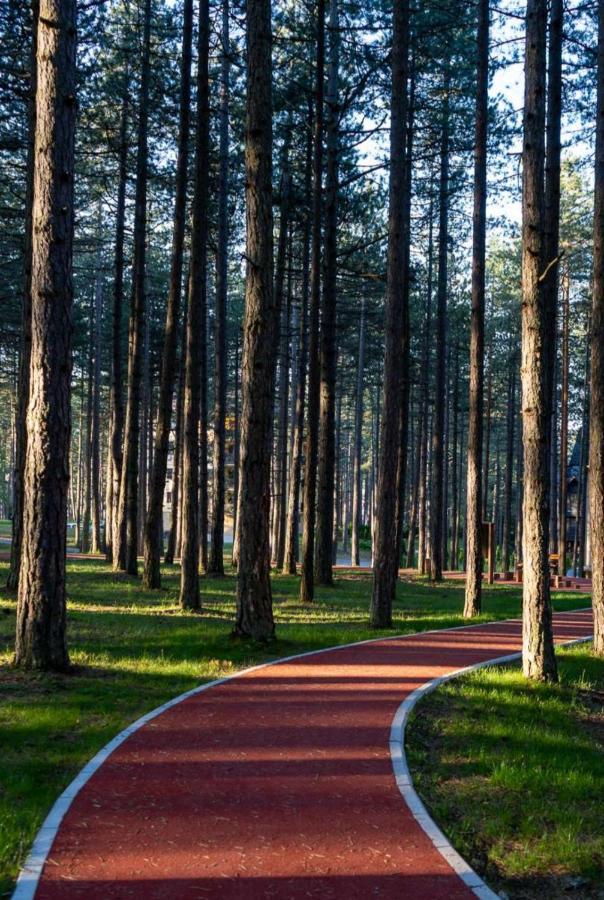 Apartman Pavle Zlatibor Bagian luar foto