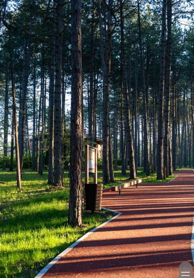 Apartman Pavle Zlatibor Bagian luar foto