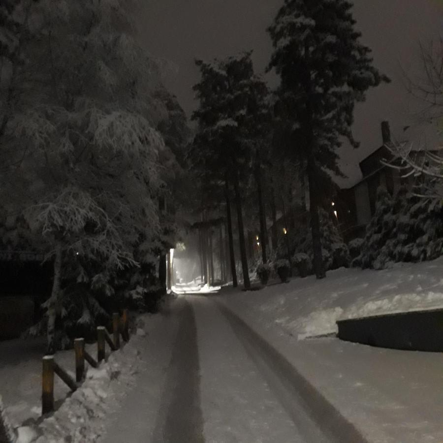 Apartman Pavle Zlatibor Bagian luar foto
