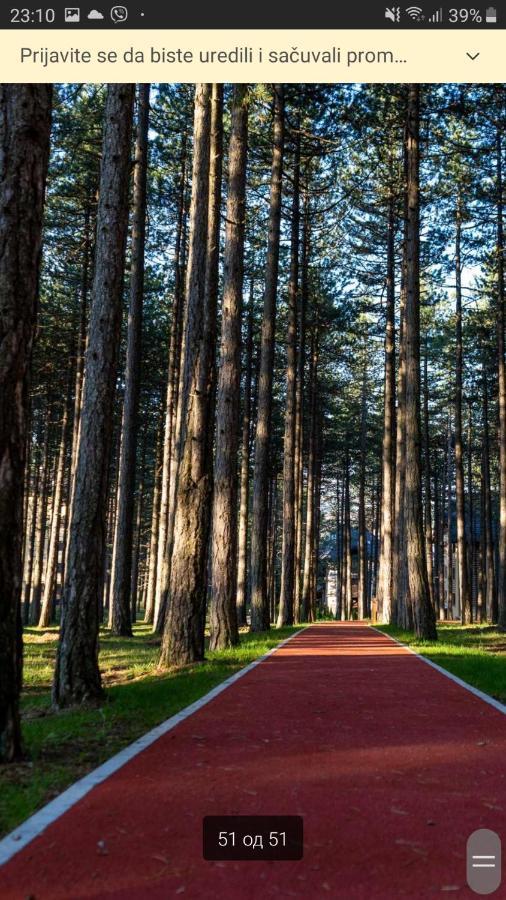 Apartman Pavle Zlatibor Bagian luar foto