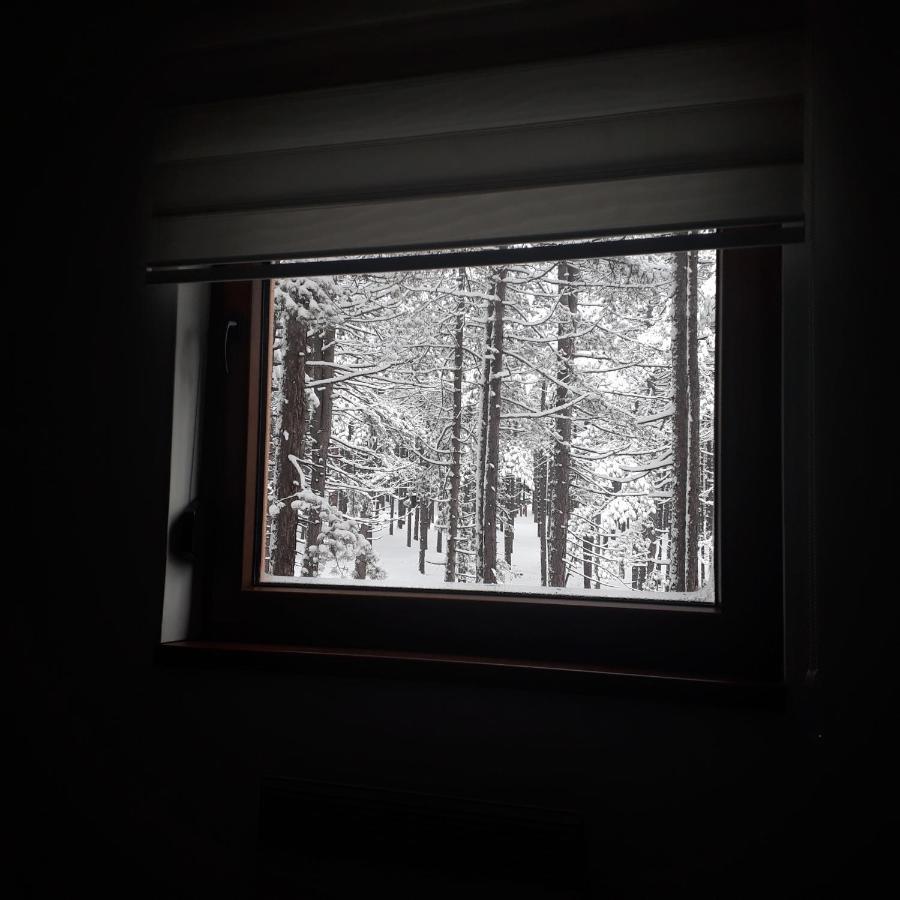 Apartman Pavle Zlatibor Bagian luar foto